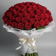 Букет 101 Красная роза Блэк Мэджик в Кушнаренково