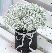 Цветочная композиция из Гипсофила в шляпной коробке в Кушнаренково