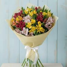 Букет цветов из:  Альстромерии в Кушнаренково