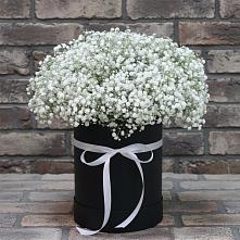 Цветочная композиция из Гипсофила в шляпной коробке в Кушнаренково