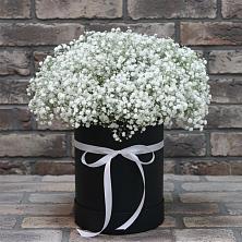 Цветочная композиция из Гипсофила в шляпной коробке в Кушнаренково
