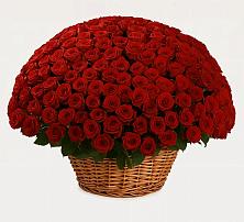 Премиум букет из: Розы в Кушнаренково