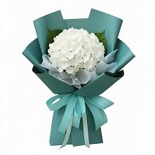 Букет цветов из:  Гортензия в Кушнаренково